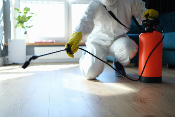 Best Flea Control Services  in Zuni Pueblo, NM