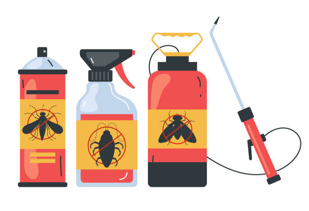 Best Affordable Pest Control Services  in Zuni Pueblo, NM