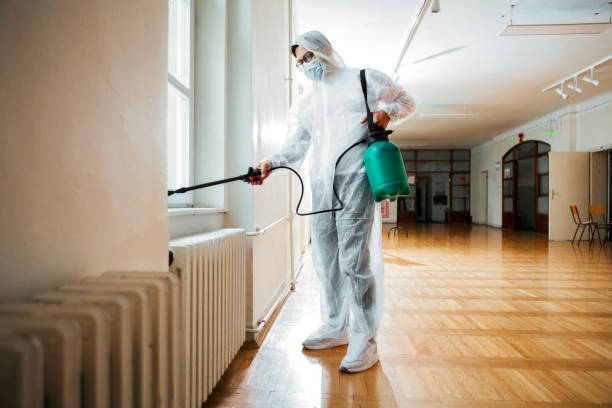 Best Termite Control Services  in Zuni Pueblo, NM